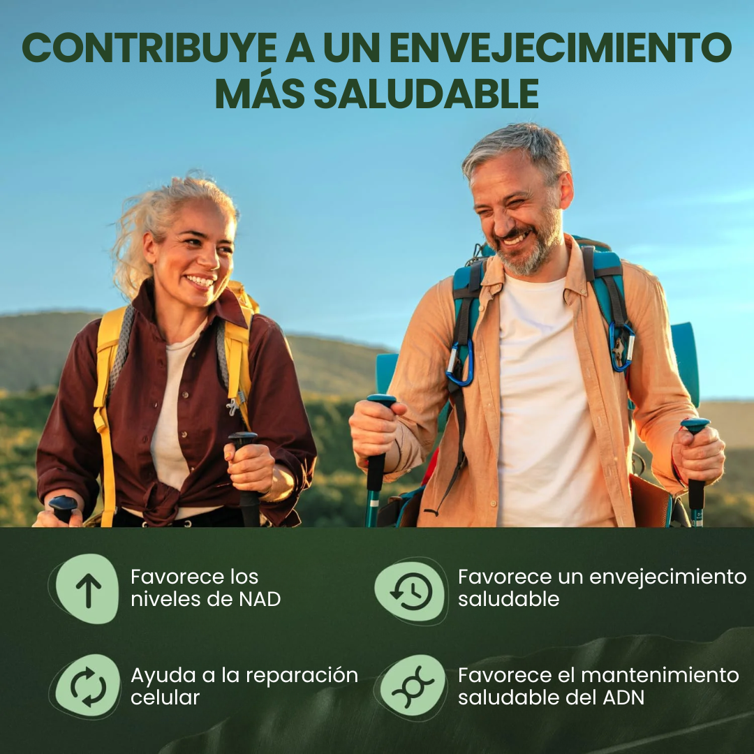 NAD+ para el envejecimiento, la energía y la concentración (80 Cápsulas)